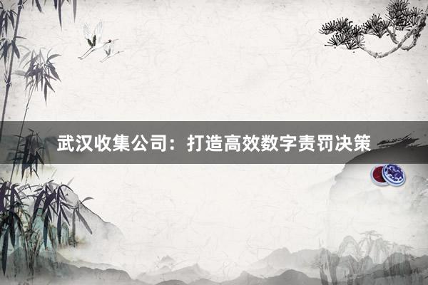 武汉收集公司：打造高效数字责罚决策