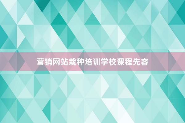 营销网站栽种培训学校课程先容