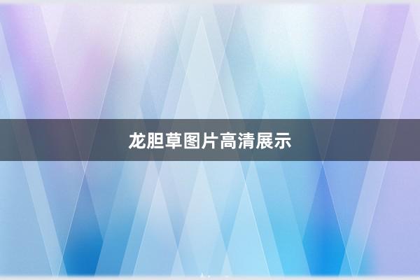 龙胆草图片高清展示