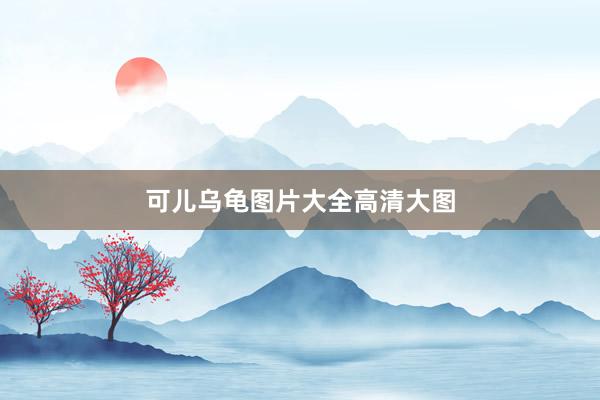 可儿乌龟图片大全高清大图